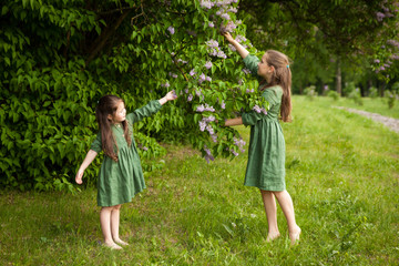 Two sisters in green linen dress have fun in the park with blooming lilacs, enjoy spring and warmth