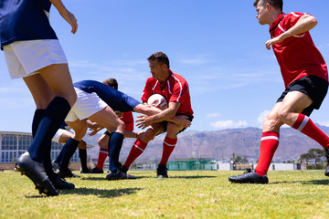 Wall Mural - Rugbymen in a match