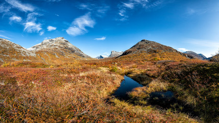 Wall Mural - beautiful landscape of mountains during autumn