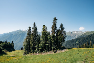 Wall Mural - Beautiful mountain view on a Sunny day