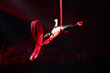 Brazilian strong sexy man do performance on aerial silks in red lights, drop on aerial silks.  Sport training gym and lifestyle concept.