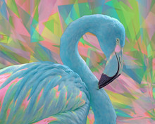 Adult Flamingo In Preen, Rendered Here With Colorful Tropical Coloring And A Contrasting, Geometrics Background To Adorn Any Print Uses