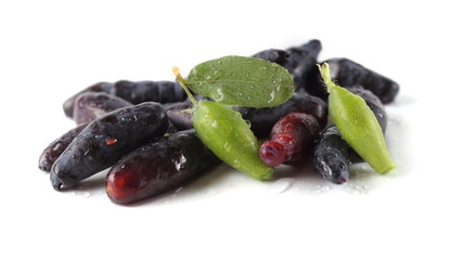 Poster - Honeyberries and leaf (haskap berry)