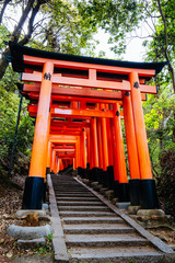 Sticker - Fushimi Inari Shrine Kyoto Japan