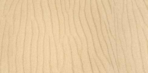 Wall Mural - sand texture background