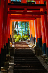 Canvas Print - Fushimi Inari Shrine Kyoto Japan