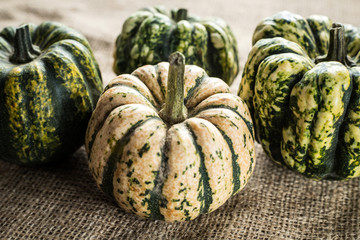 'sweet dumpling' pumpkins close up