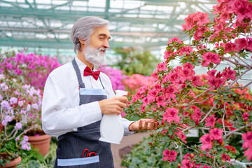 Wall Mural - Hobby and Profession. Handsome gardener. Senior bearded man spray flowers at greenhouse.