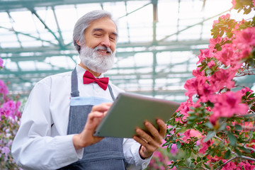 Canvas Print - Hobby and Profession. Handsome gardener. Senior bearded man using tablet computer at greenhouse full of flowers.