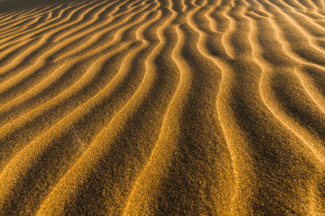  Waveforms on the sand