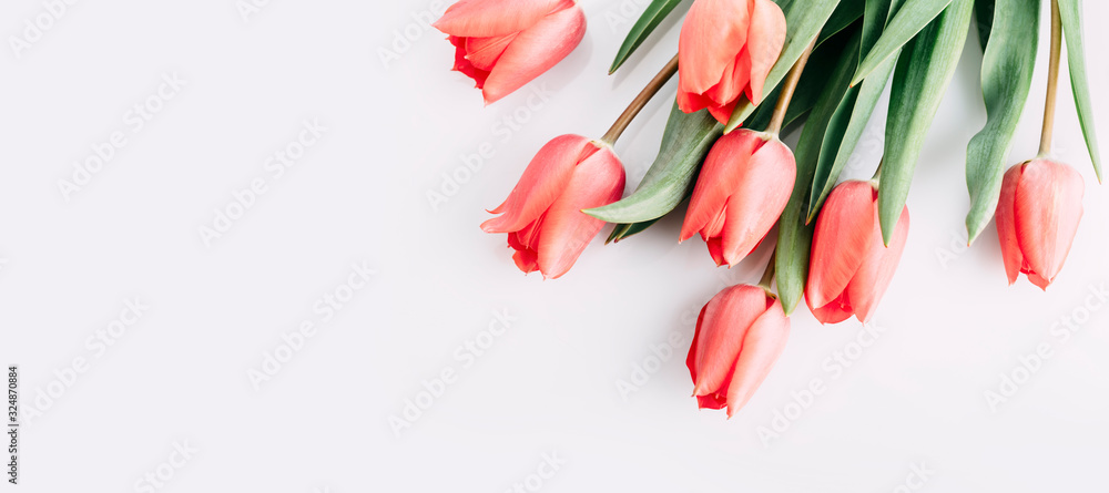 Pink tulips bouquet isolated on white background from above. Top view of red flower bud. Spring and easter greeting card design layout. - obrazy, fototapety, plakaty 