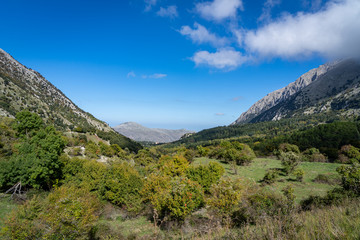 Wall Mural - Laghetto Mandria Del Conte