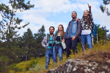 Wall Mural - A group of hikers with backpacks are standing in the forest