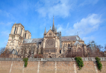 Wall Mural - Cathedrale Notre Dame famous attraction of Paris 