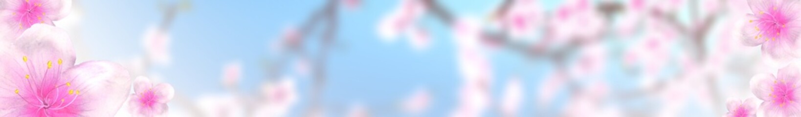 Wall Mural - panoramic sakura cherry blossoms 468x60 size website full banner background. 3D Illustration Clip-Art with Floral spring design and copy space in pink, white and blue