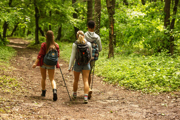 Wall Mural - group of young people hiking trough forest.