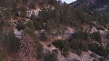 Angeles Crest Highway In Woodland Mountains, Aerial