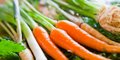 Wall Mural - Fresh young vegetables ingredients for cooking delicious organic veggie stock -  base for all the soups: carrots, parsley roots, leeks, celeriac, cellery, dill, parsnip.