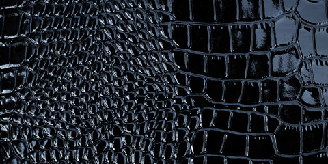 Black texture of patent leather, crocodile pattern, abstract background of snakeskin print, clothes. Textile design, material of fashion accessory.