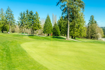 Golf course with gorgeous green and pond.