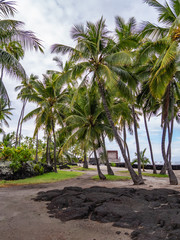 Wall Mural - Puuhonua o Honaunau National Historical Park on the Big Island of Hawaii. 