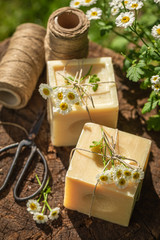 Wall Mural - Handmade cubes of chamomile soap made of fresh ingredients