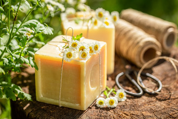 Wall Mural - Moisture cubes of chamomile soap in summer garden