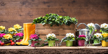 Pala apoyada contra una pared Stock de Foto gratis Public Domain Pictures