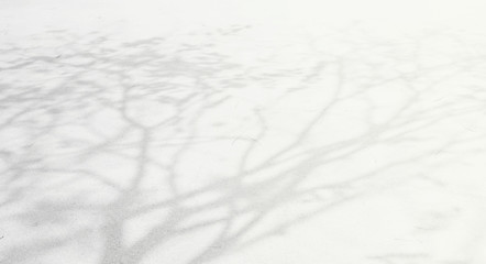 Wall Mural - abstract shadows, blurred background of gray leaves and natural trees that reflect concrete walls, f