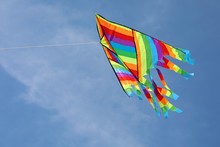 Colorful Kite Flies In The Sky