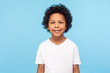 © khosrork - Portrait of cheerful little boy with curly hair in T-shirt smiling funny and carefree, showing two front teeth, healthy happy child, positive emotions. indoor studio shot isolated on blue background