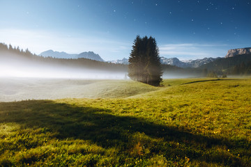 Wall Mural - misty summer night in the durmitor national park. location montenegro, europe.