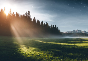 Wall Mural - misty summer night in the durmitor national park. location montenegro, europe.
