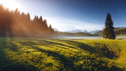 Wall Mural - misty summer night in the durmitor national park. location montenegro, europe.