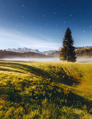 Wall Mural - misty summer night in the durmitor national park. location montenegro, europe.