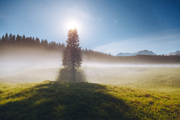 Wall Mural - misty summer night in the durmitor national park. location montenegro, europe.