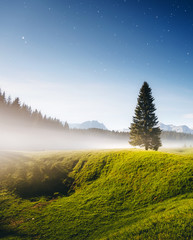 Wall Mural - misty summer night in the durmitor national park. location montenegro, europe.