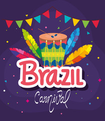 poster of brazil carnival with drum and decoration vector illustration design