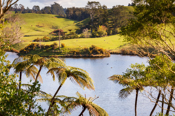 Wall Mural - Lake at McLaren Falls Park