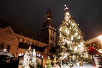 Wall Mural - christmas tree in front of a Riga cathedral 