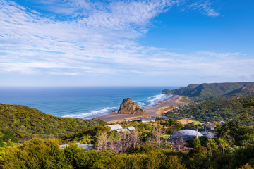 Wall Mural - Wide angle view of beautiful Piha beach in bright morning light with blue sky