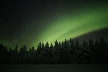 Landscape With Aurora Borealis And Forest