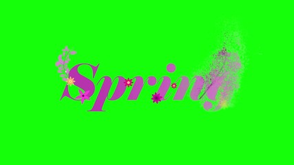 Wall Mural - Spring word animation with flower and sand transition motion graphic effect on green background in 4k resolution