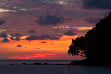 Wall Mural - Vivid sunset sky waterscape and silhouette forest island