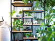 © Luoxi - Green interior with an industrial open shelf cupboard filled with numerous house plants in pots creating an indoor garden