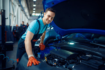 Wall Mural - Smiling worker checks vehicle, car service station