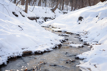 Winter creek in the park, Russia, Ulyanovsk