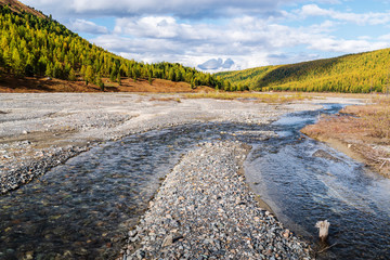 Wall Mural - Autumn in the Aktru River Valley. Severo-Chuysky ridge, Altai Republic, Russia