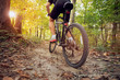 canvas print picture - mountain bike in sunny forest