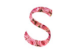 Fototapeta Dmuchawce - The letter S of the English alphabet is cut out of pink roses on a white isolated background.Floral pattern, texture.Bright alphabet for stores, sales, websites, postcards and holiday greetings